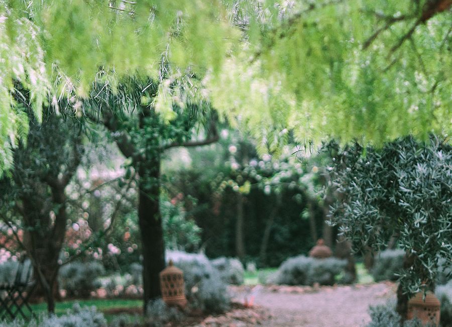 Gartenpflege